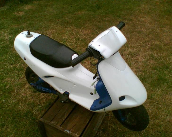 MiniBike polini billede 3