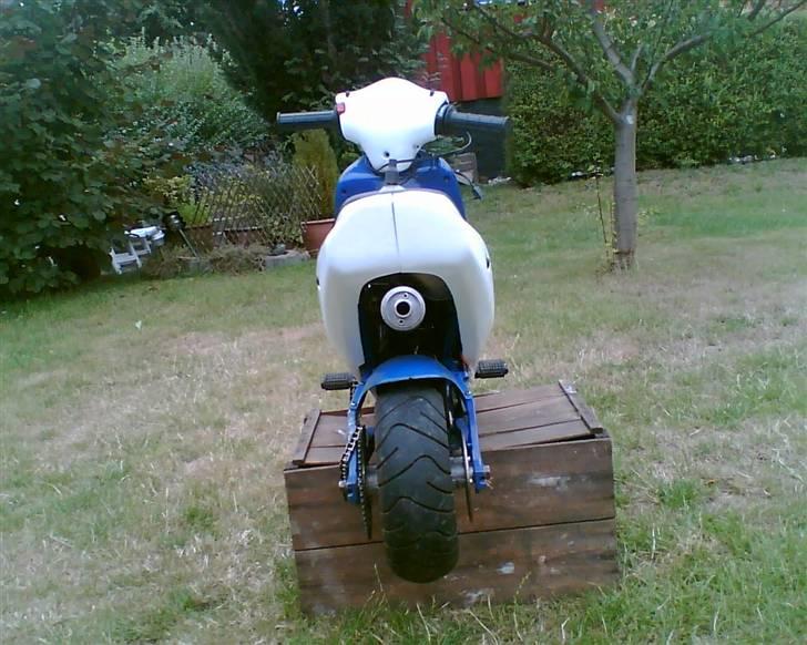 MiniBike polini billede 5