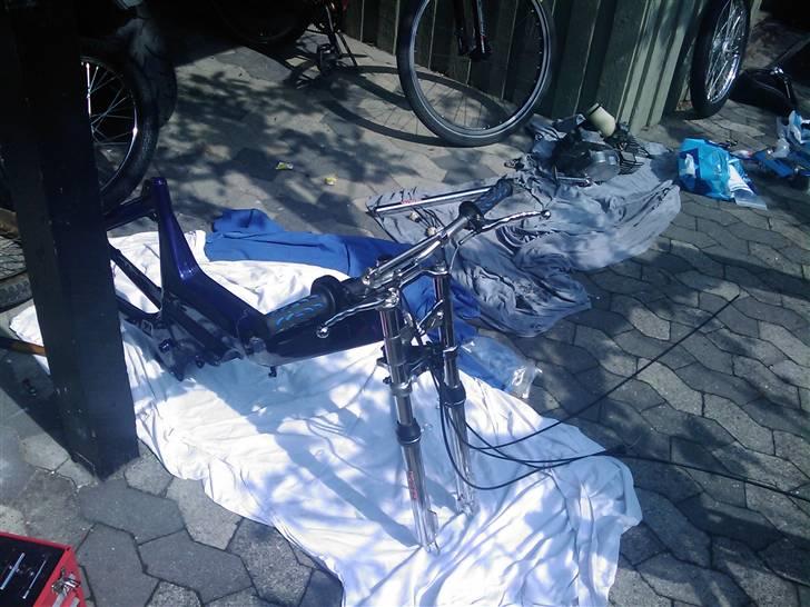 Puch maxi "Bandit" (solgt) - da jeg havde fået stellet hjem fra maleren. billede 10