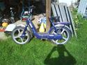 Vespa ciao   (SOLGT)