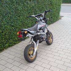 Shineray Maxpro ( byttet til zip )