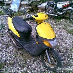 Siamoto Birdie solgt