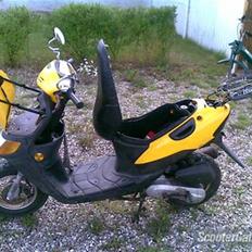 Siamoto Birdie solgt