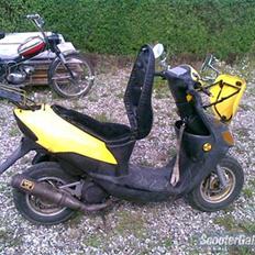 Siamoto Birdie solgt