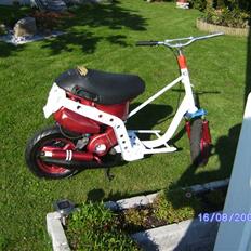 Piaggio Zip"en