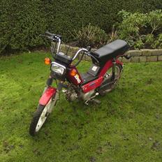 Gizmo hero fiskekutter