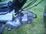 Puch Maxi K