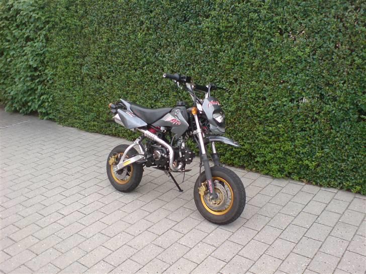 Shineray Maxpro ( byttet til zip ) billede 1