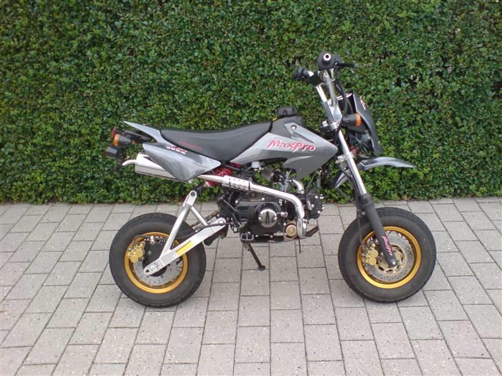 Shineray Maxpro ( byttet til zip ) billede 2