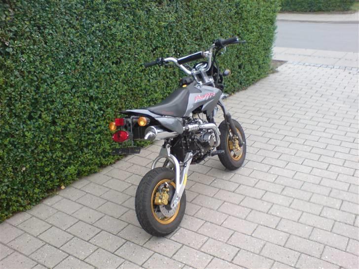 Shineray Maxpro ( byttet til zip ) billede 3