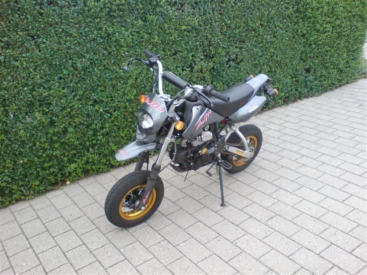 Shineray Maxpro ( byttet til zip ) billede 6