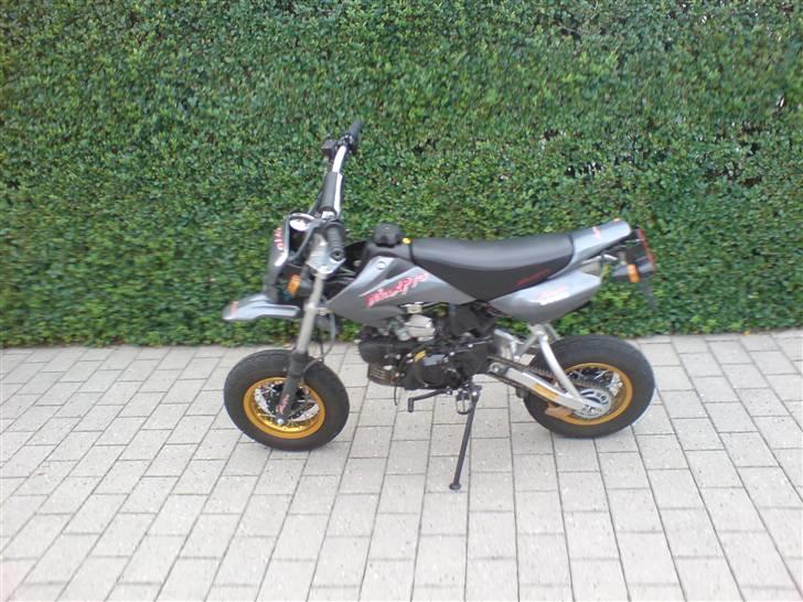 Shineray Maxpro ( byttet til zip ) billede 7