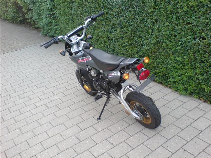 Shineray Maxpro ( byttet til zip ) billede 8