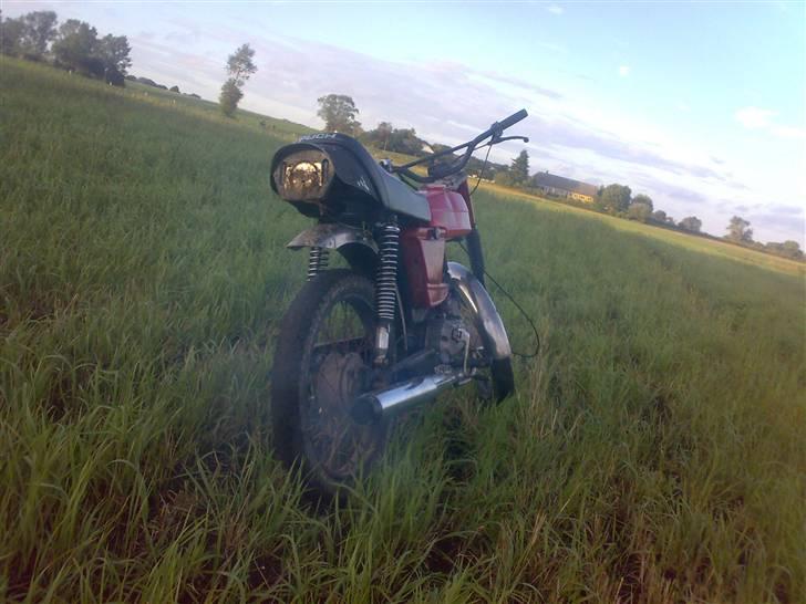 Puch grand prix SOLGT billede 6