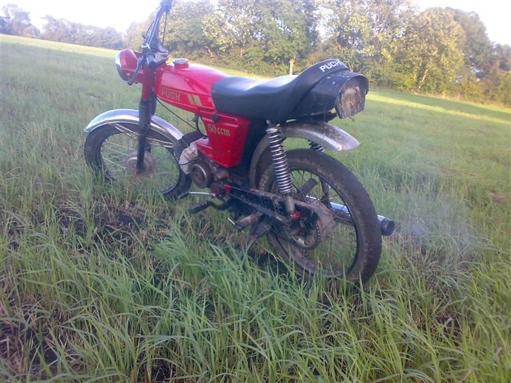 Puch grand prix SOLGT billede 7