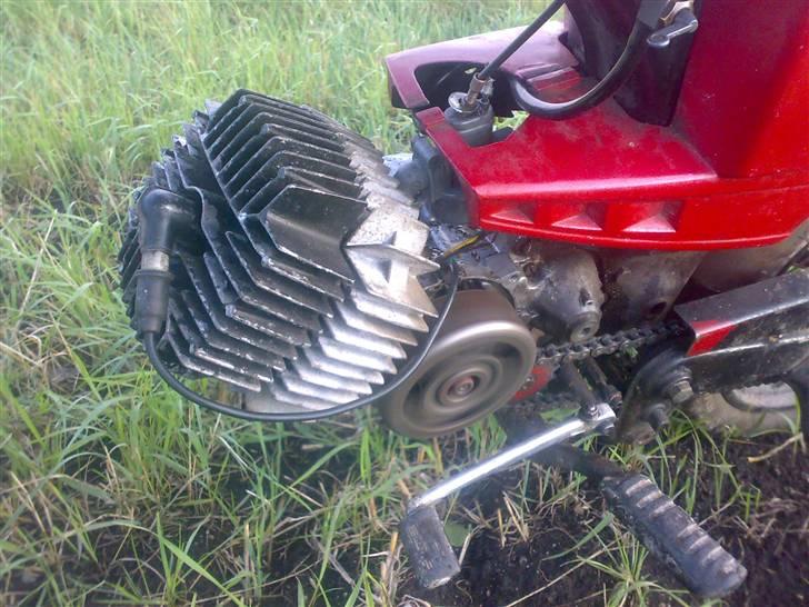 Puch grand prix SOLGT billede 8