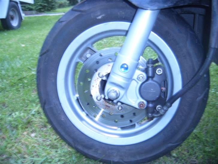 Piaggio Zip Cat billede 5