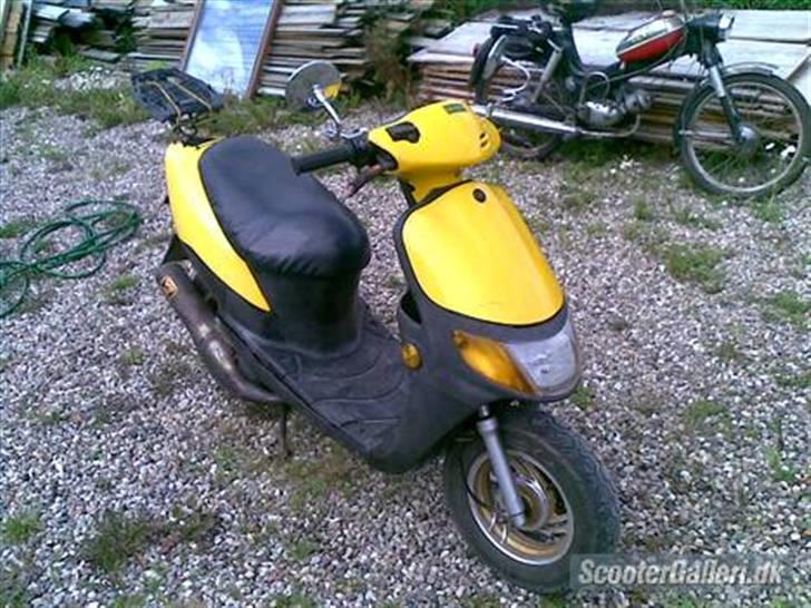 Siamoto Birdie solgt billede 1