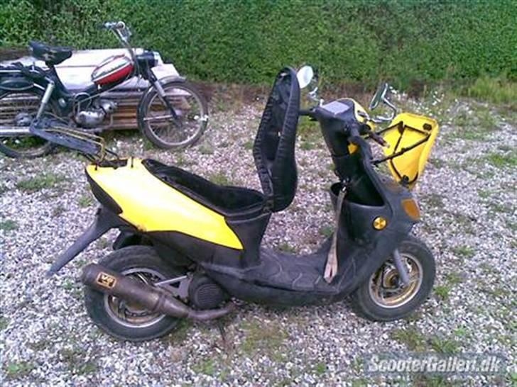 Siamoto Birdie solgt billede 3