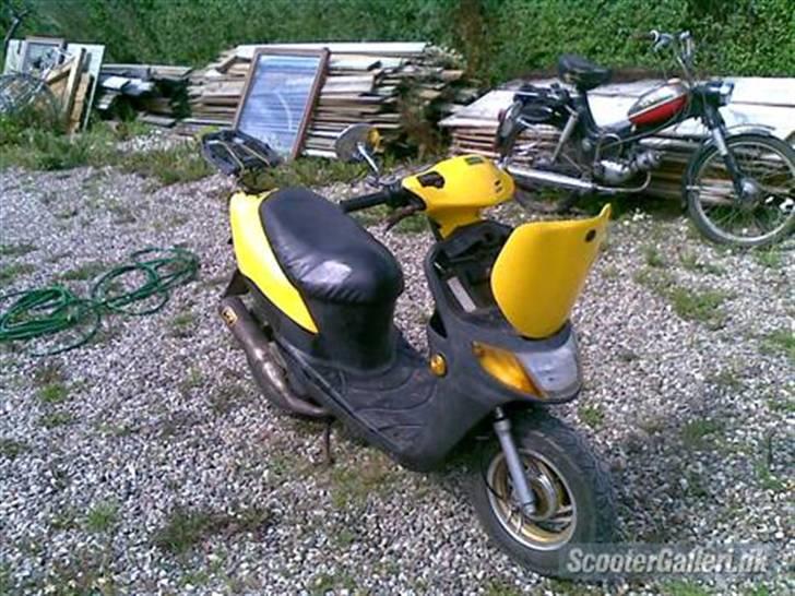 Siamoto Birdie solgt billede 5