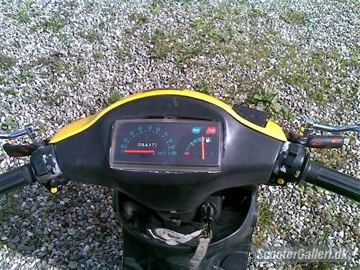 Siamoto Birdie solgt billede 6