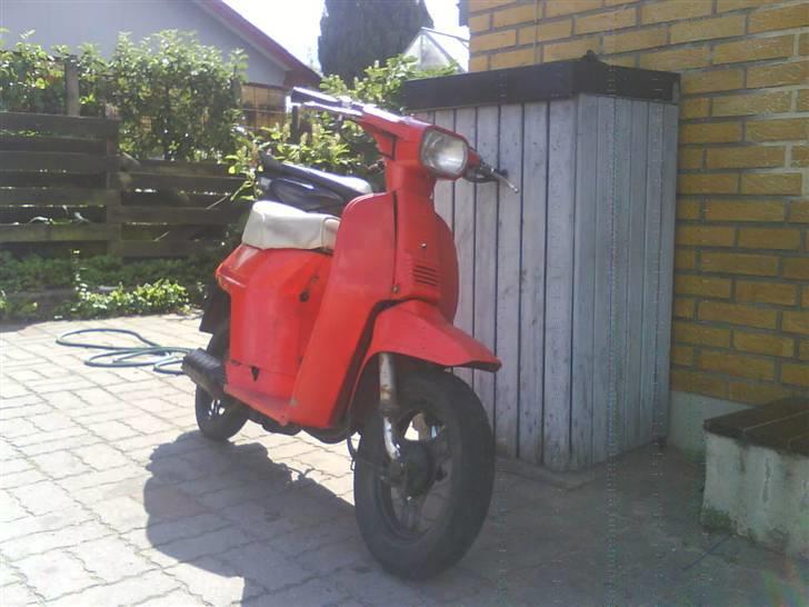 Honda Melody billede 1