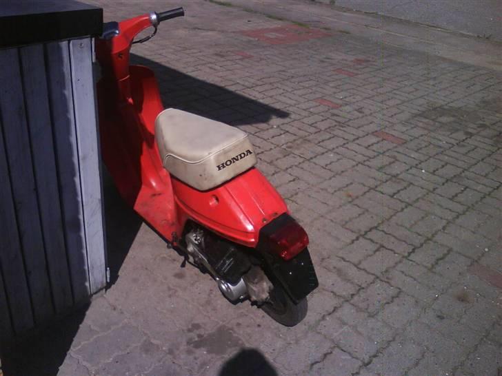 Honda Melody billede 3