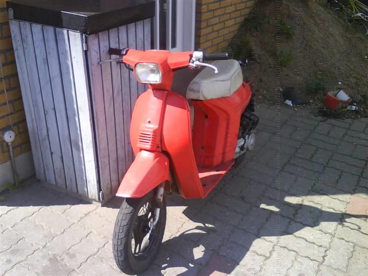 Honda Melody billede 5