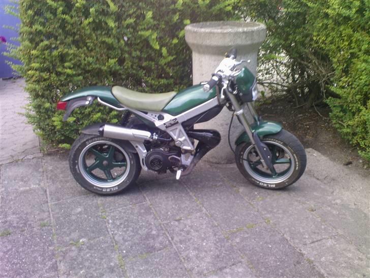 Suzuki Street magic (solgt) billede 3