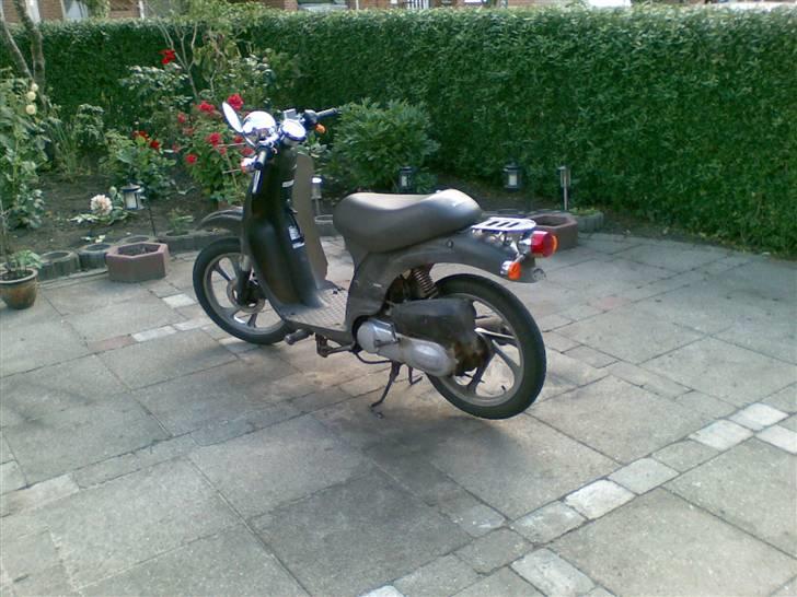 Honda Sky billede 1