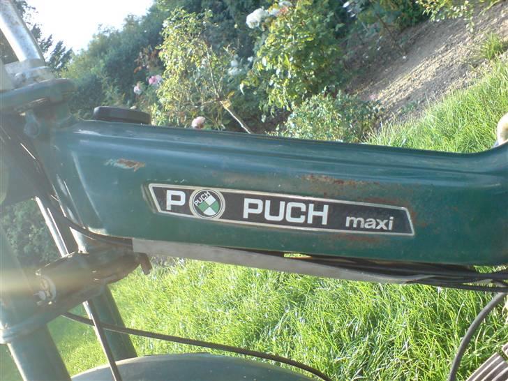 Puch p solgt billede 4
