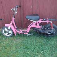 Yamaha passola (bane projekt)