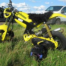 Suzuki Street Magic 'Vipsen' Tilsalg