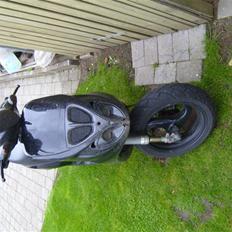 Piaggio TYPHOON / NTT