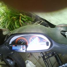 Piaggio TYPHOON / NTT