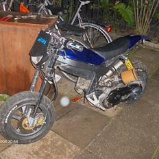 Suzuki street Magic - Evo -