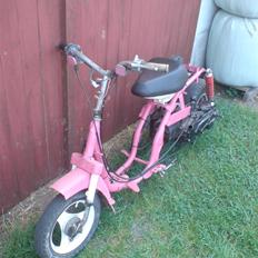 Yamaha passola (bane projekt)