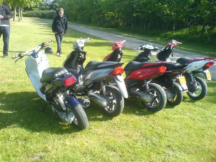 PGO hot 50 - SOLGT  billede 5