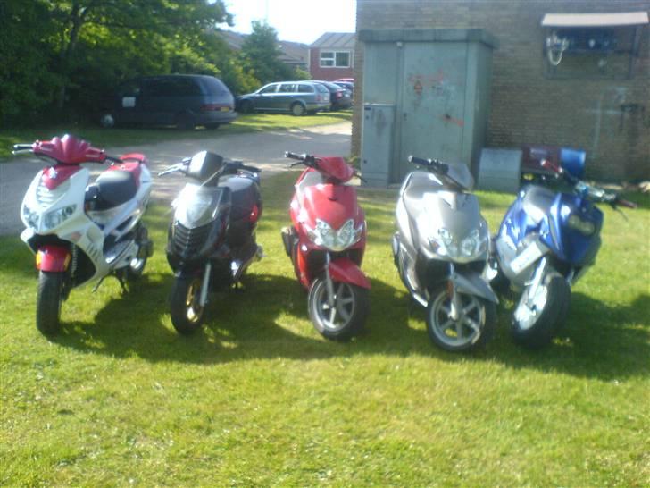 PGO hot 50 - SOLGT  billede 6