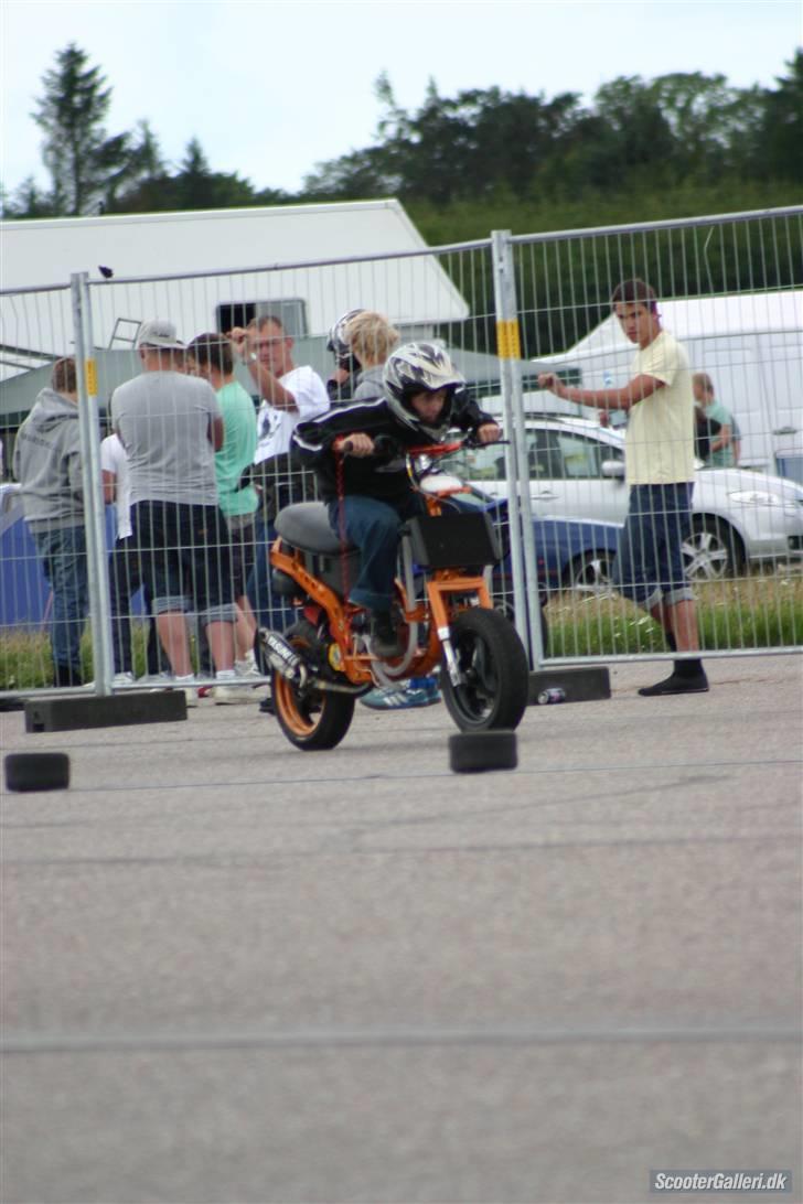 Piaggio Typhoon - sælges i dele - køre lige sprint.. Vinder den her :D billede 10