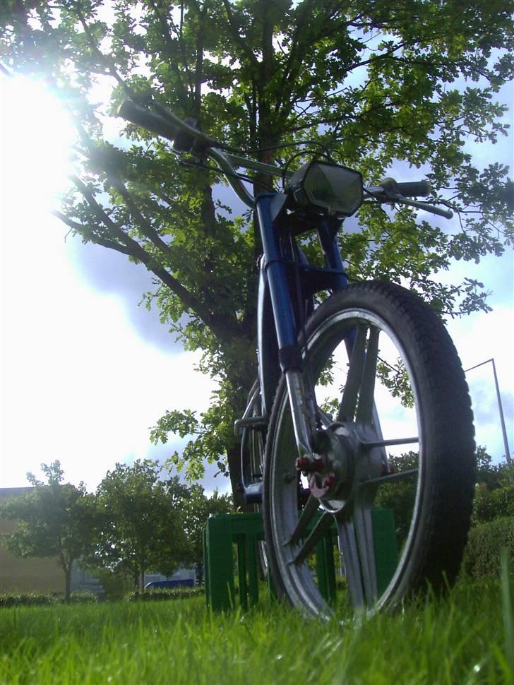 Puch Maxi K billede 1