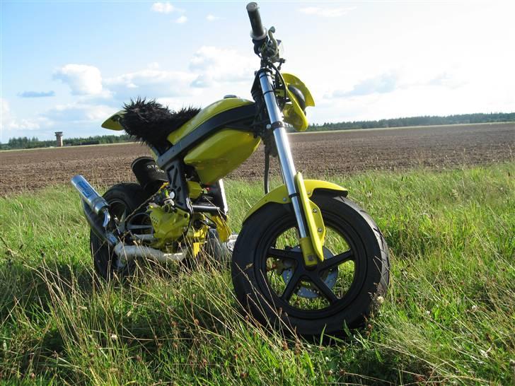 Suzuki Street Magic 'Vipsen' Tilsalg billede 7