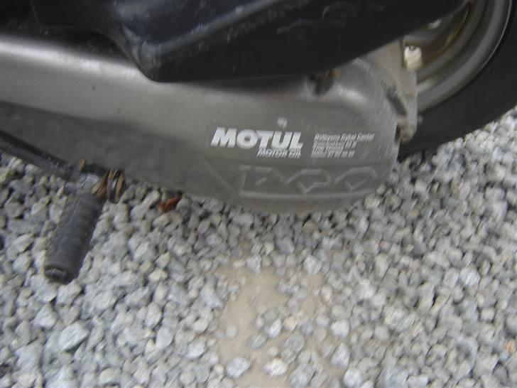 PGO comet (solgt) billede 6