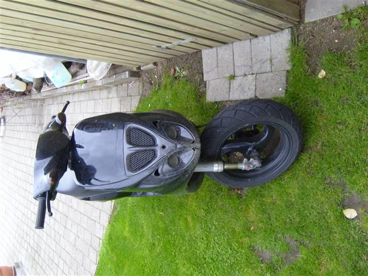 Piaggio TYPHOON / NTT billede 1