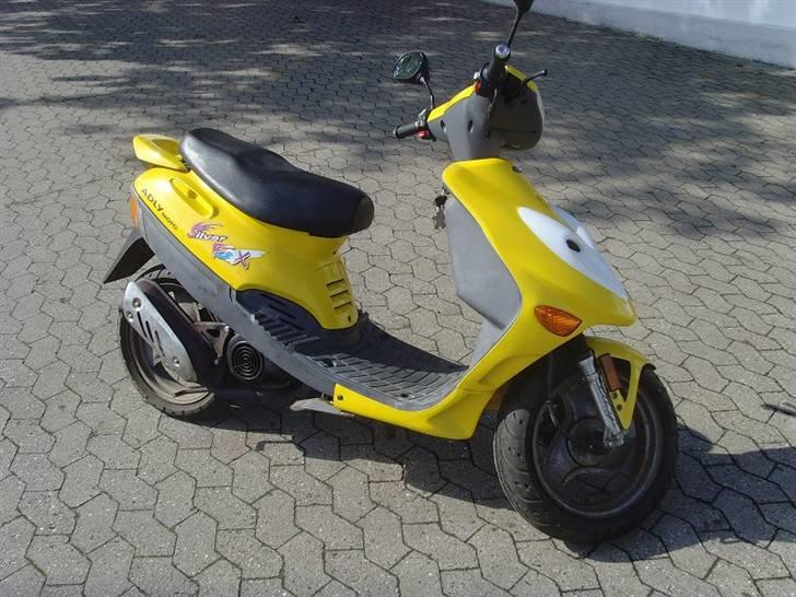 Adly Silver Fox billede 1