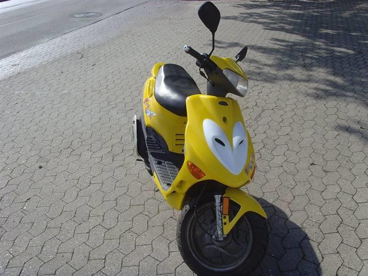 Adly Silver Fox billede 3