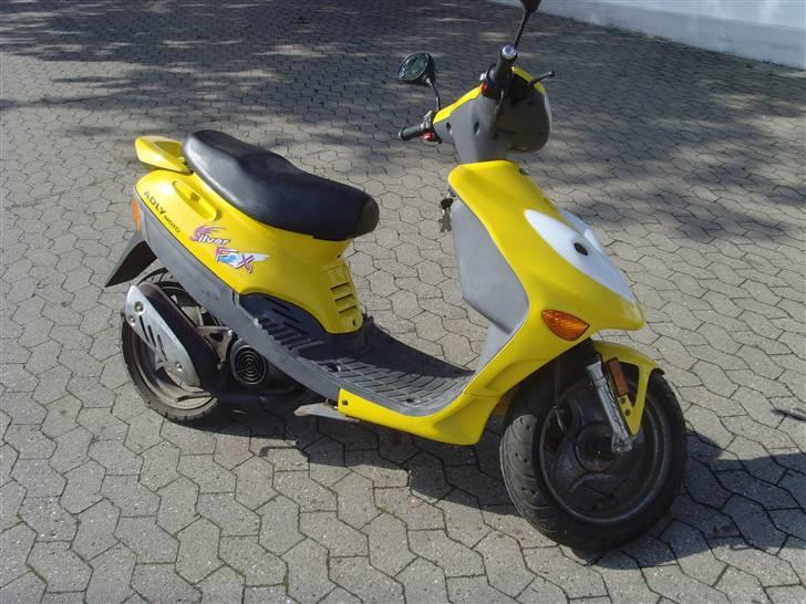 Adly Silver Fox billede 5