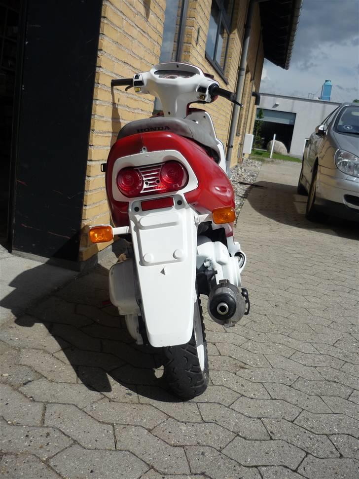 Honda SFX Repsol billede 5