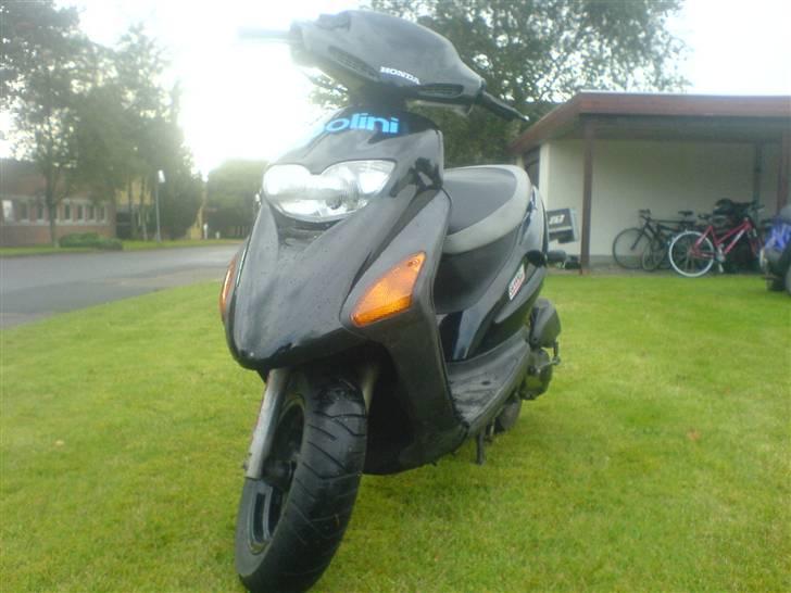 Honda Sfx Solgt! billede 2