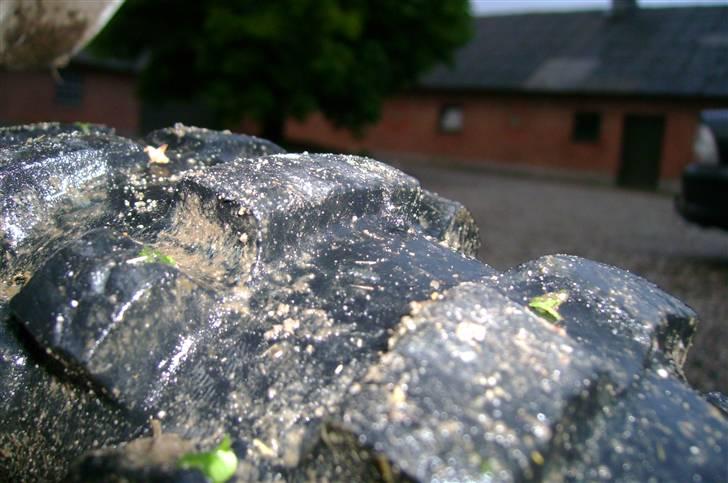 Suzuki suzuki 85L høj (solgt) - det er godt brugt billede 7